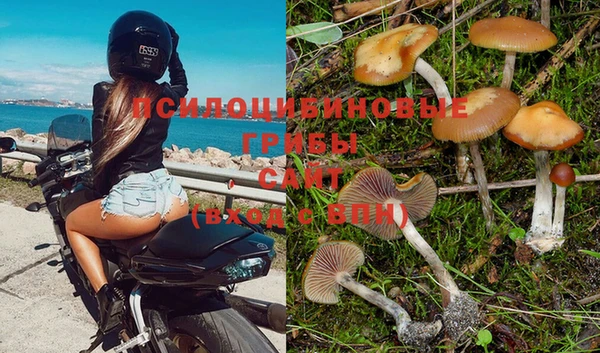 дживик Приозерск