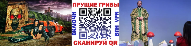 Псилоцибиновые грибы GOLDEN TEACHER Вязники