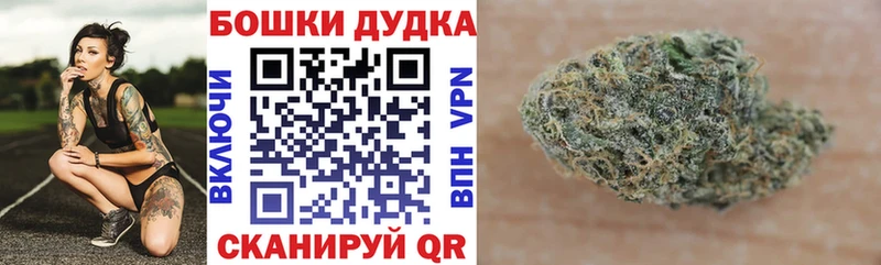 Каннабис индика  Вязники 
